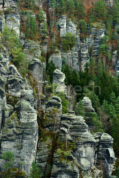 Picturesque view of Bastei. It is a rock formation in Germany Stock photo © amok