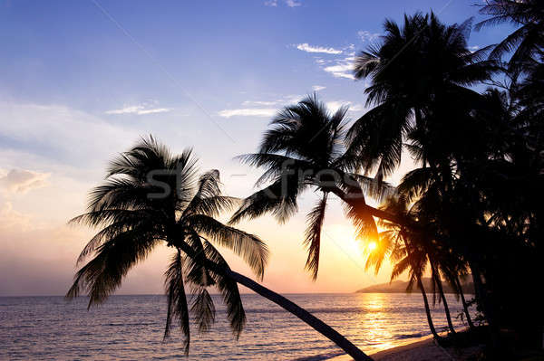 Samui island at sunset, Thailand Stock photo © amok