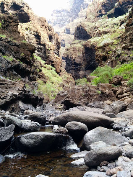 Picturesque rocky landscape of Tenerife Stock photo © amok
