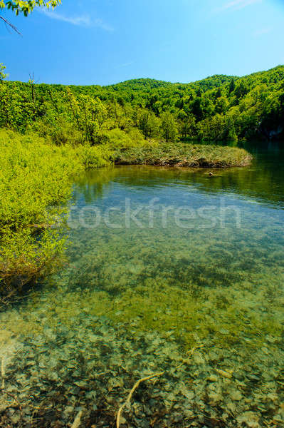 Plitvice Lakes National Park in Croatia, beautiful landscape Stock photo © amok