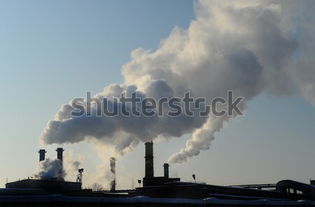 Duman fabrika borular gökyüzü sanayi endüstriyel Stok fotoğraf © amok