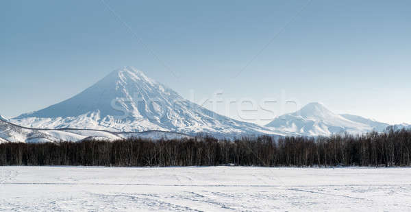 View of Avachinsky and Koryaksky volcanoes  Stock photo © amok