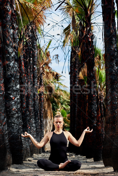 Young beautiful woman doing meditation in nature Stock photo © amok