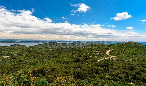 Beautiful nature landscape  Stock photo © amok