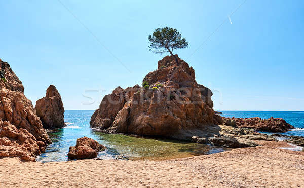 Rocky seaside of Mar Menuda Beach in Tossa de Mar Stock photo © amok