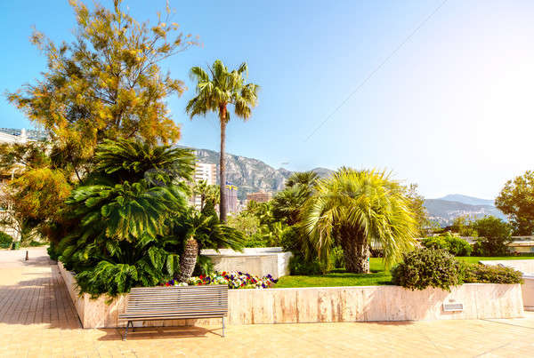 Empty street of Monaco Stock photo © amok