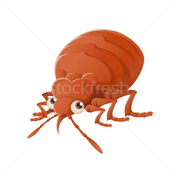 Bedbug Stock photo © Amplion
