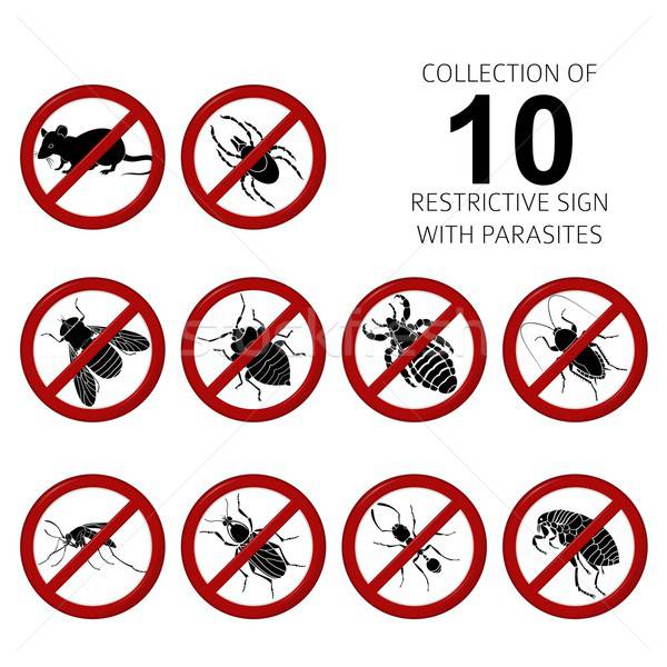 Collection of 10 parasites Stock photo © Amplion