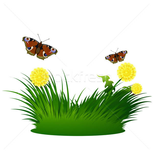 ストックフォト: 草 · ベクトル · 画像 · 蝶 · 花 · 春