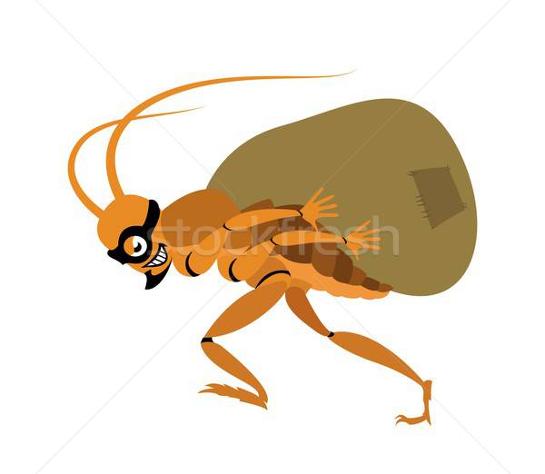 Hamamböceği hırsız saç kırmızı hızlandırmak çanta Stok fotoğraf © Amplion