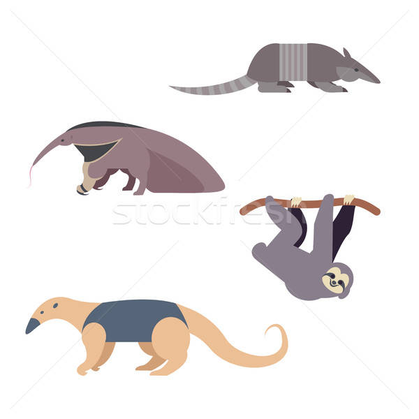 South America Animals Stock photo © Amplion