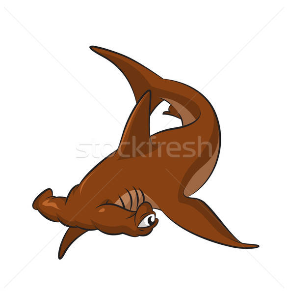 Bonnethead Stock photo © Amplion