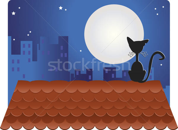 Gato negro techo mirando luna llena gato luna Foto stock © anaklea