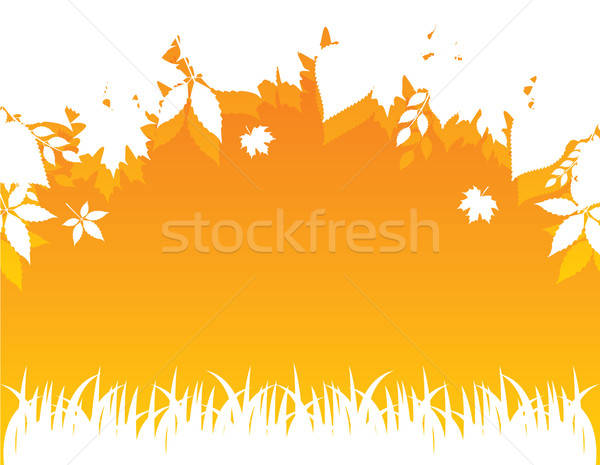 Stock photo: Autumn leafs back