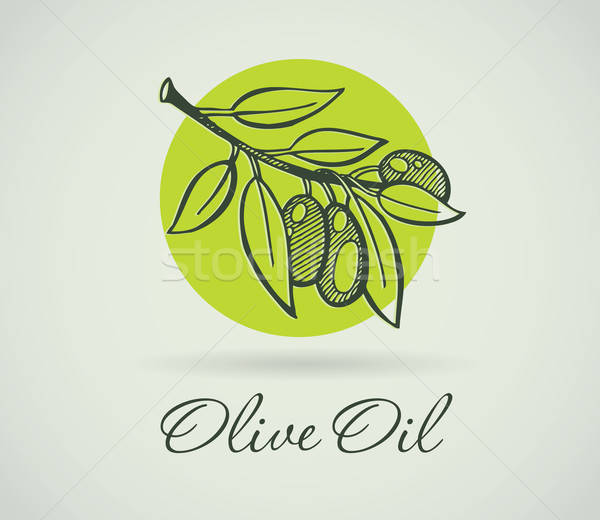 Hand-Drawing Olive Stock photo © anastasiya_popov