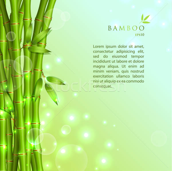 Verde bambu eps 10 abstrato paisagem Foto stock © anastasiya_popov