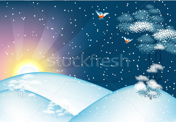 Winter landscape Stock photo © anastasiya_popov