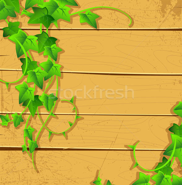 Ivy back Stock photo © anastasiya_popov