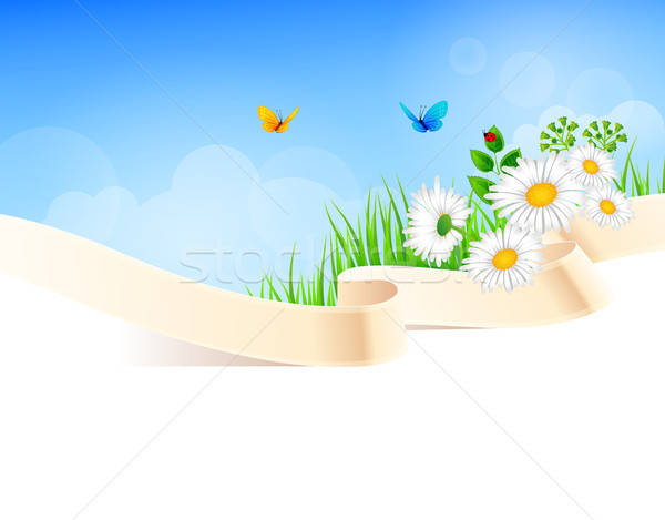 Stock foto: Sommer · Gras · Himmel · Schmetterling · Blatt · Schönheit