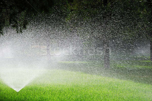 Planten machine tuin bloem water voorjaar Stockfoto © anbuch