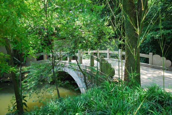 Puente Asia parque conservación naturaleza árbol Foto stock © anbuch