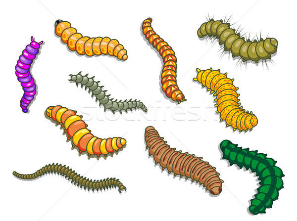 Cartoon worms Stock photo © anbuch