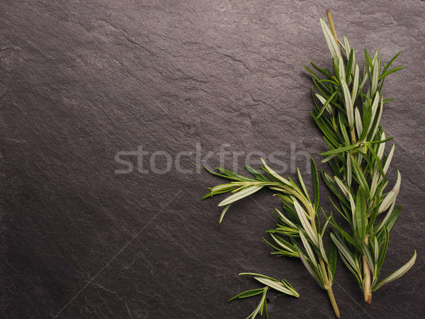 Rosemary twigs on dark slate Stock photo © andreasberheide