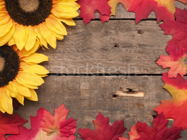 Seasonal background with colorful leaves Stock photo © andreasberheide