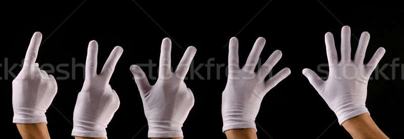 Hand with white gloves counting Stock photo © andreasberheide