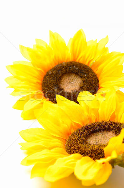 Sunflowers Stock photo © andreasberheide