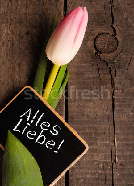 Tulip with blackboard Stock photo © andreasberheide