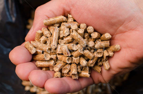 Wood pellets Stock photo © andreasberheide