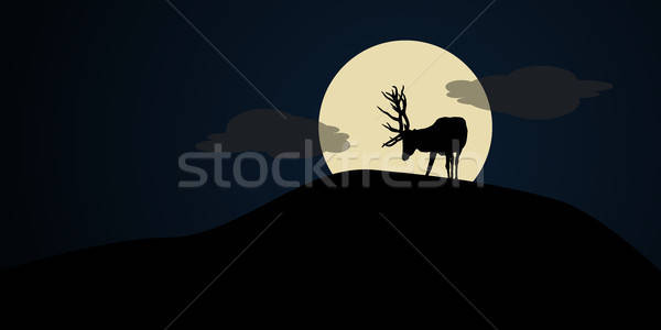 Herten heuvel maan licht hemel gras Stockfoto © andreasberheide