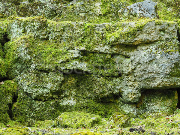 Edad rocas musgo naturales textura madera Foto stock © andreasberheide