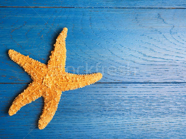Denizyıldızı mavi ahşap uzay metin görüntü Stok fotoğraf © andreasberheide