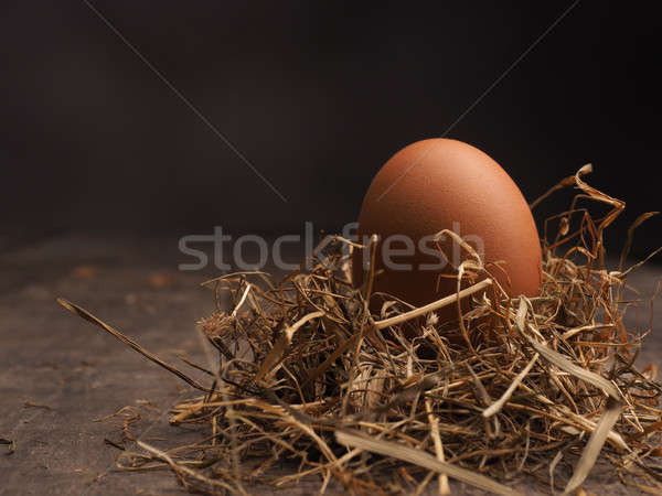 Organic brown egg Stock photo © andreasberheide