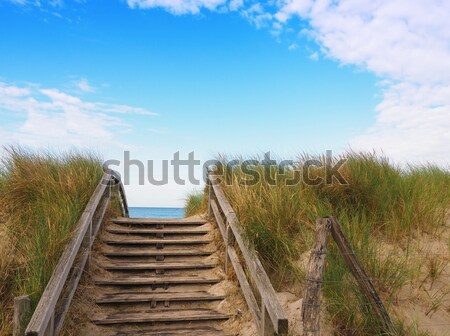 Stock photo: Dune grass on a blue summer sky with cloud shapes