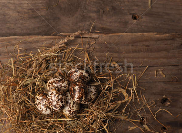 Natural Paşti cuib mic ouă lemn Imagine de stoc © andreasberheide