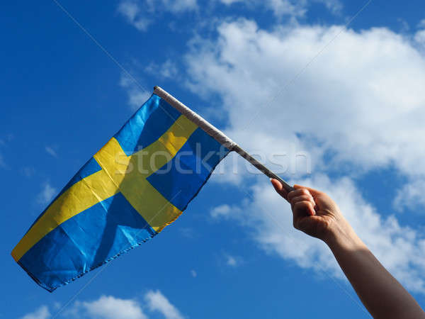 Woman with the Swedish flag Stock photo © andreasberheide
