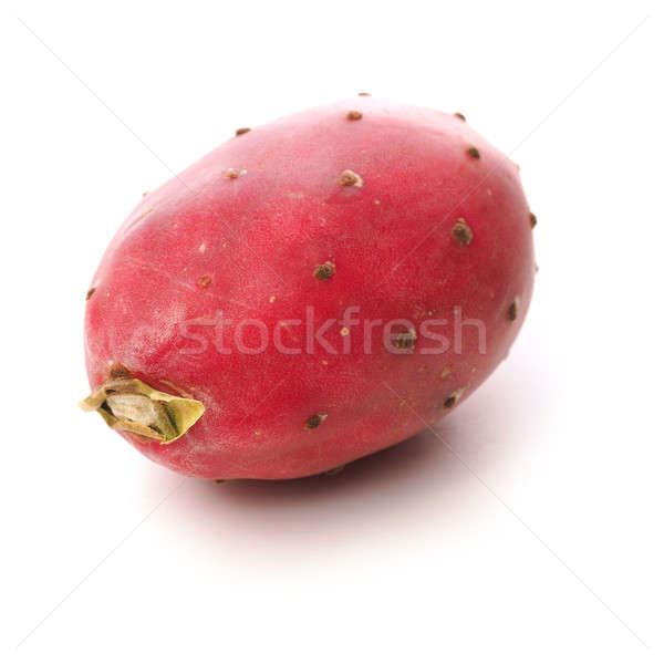 Prickly pear on a white background Stock photo © andreasberheide