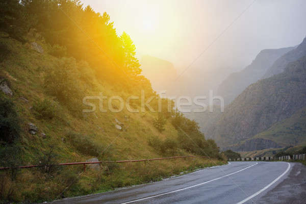 Cinematic road landscape. Road throuth the mountains Stock photo © andreonegin
