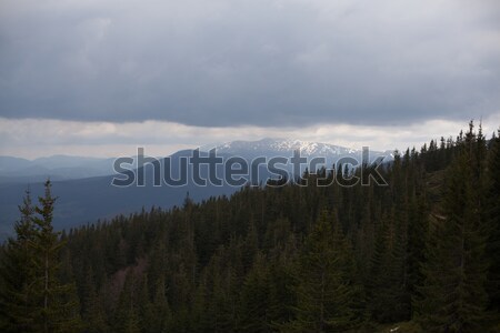 Stock photo: landscape in mountains Carpathians Ukraine