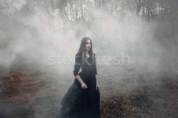Young attractive Witch walking on the field in heavy black smoke. Stock photo © andreonegin