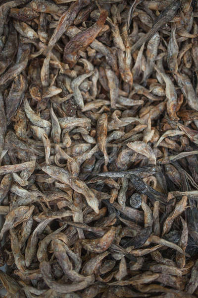 Dried Small fish background Stock photo © andreonegin