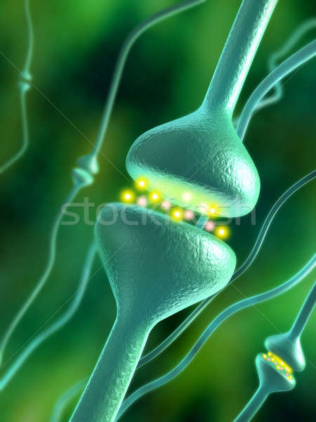 Químicos cerebro humano ilustración digital médicos cuerpo cabeza Foto stock © Andreus