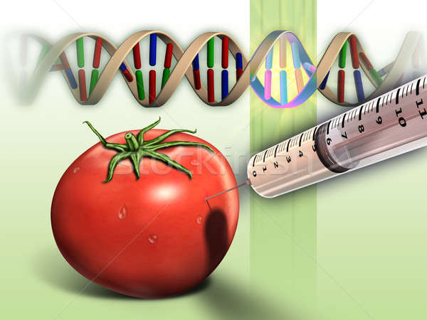 トマト DNA鑑定を デジタルイラストレーション 食品 医療 ヘルプ ストックフォト © Andreus