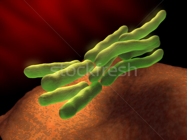Bacterie infectie binnenkant menselijke lichaam digitale illustratie Stockfoto © Andreus