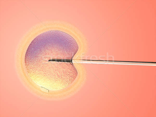 Artificial insemination Stock photo © Andreus