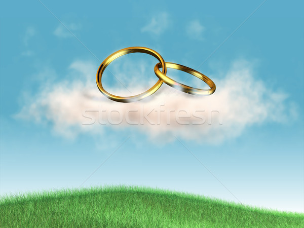 Anillos de boda nube ilustración digital hierba metal azul Foto stock © Andreus