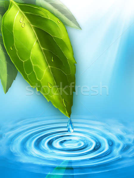Goutte d'eau gouttes d'eau relevant feuille étang illustration numérique [[stock_photo]] © Andreus